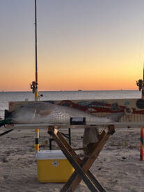 Creole Report Photo 2