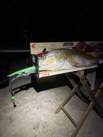 Creole Report Photo 2