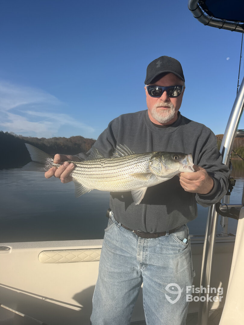 Virginia Report Photo 0