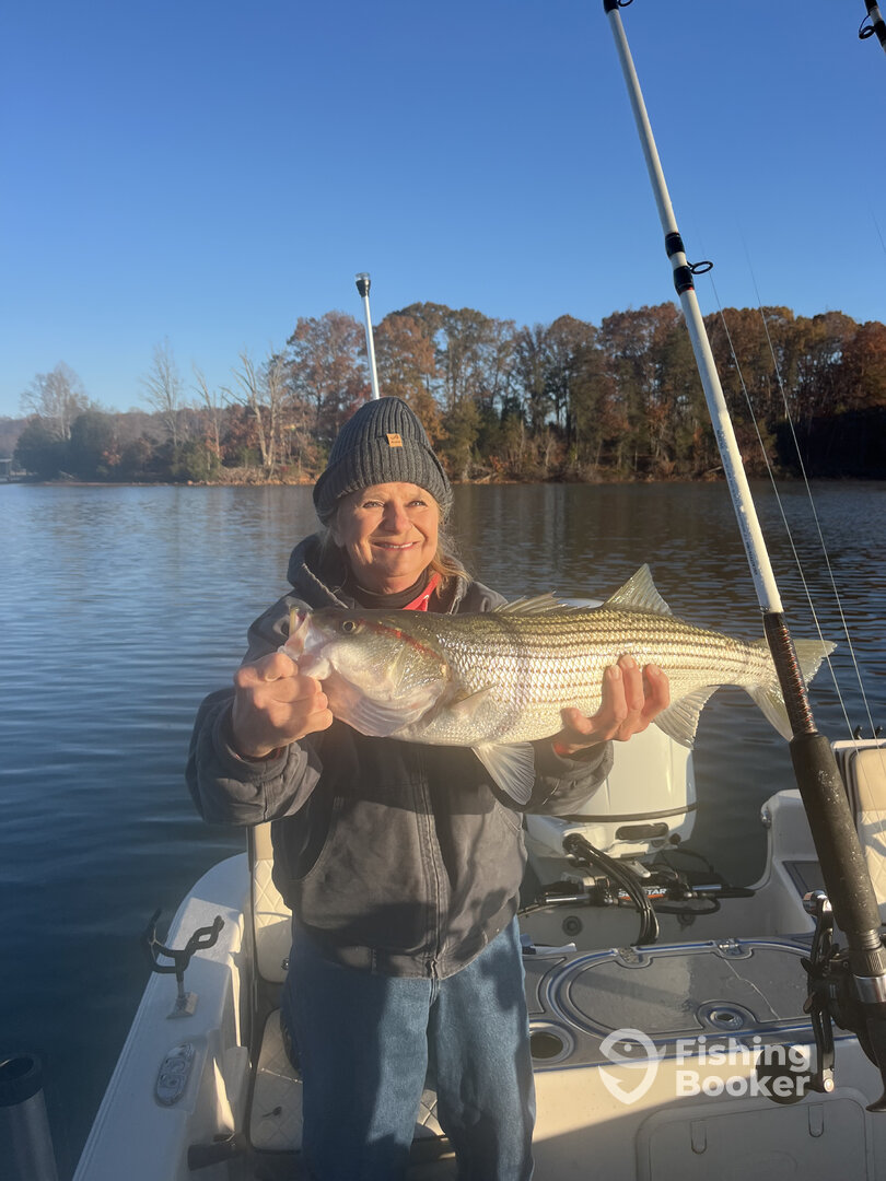 Penhook Report Photo 0