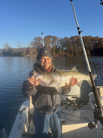 Virginia Report Photo 1