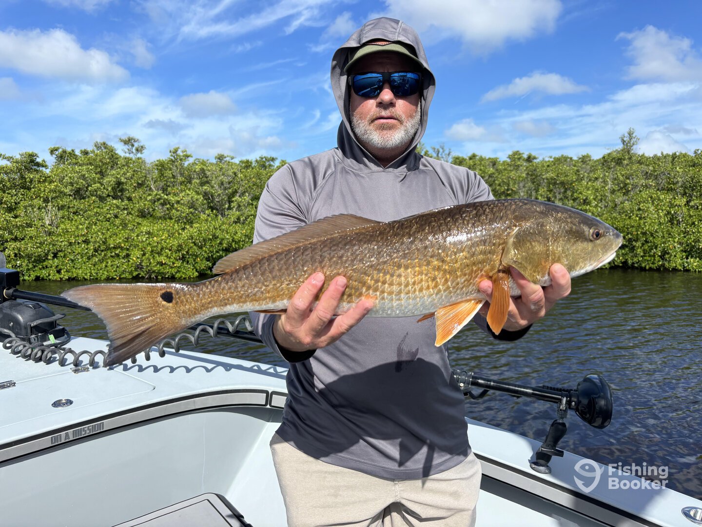 Collier County Report Photo 0