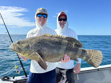 Naples Report Photo 2