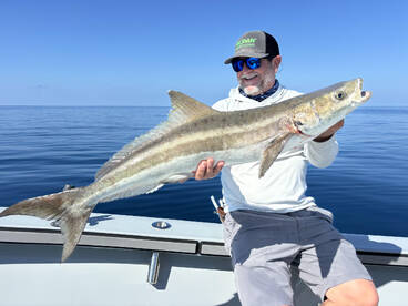 Collier County Report Photo 3