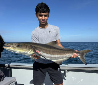 Collier County Report Photo 2