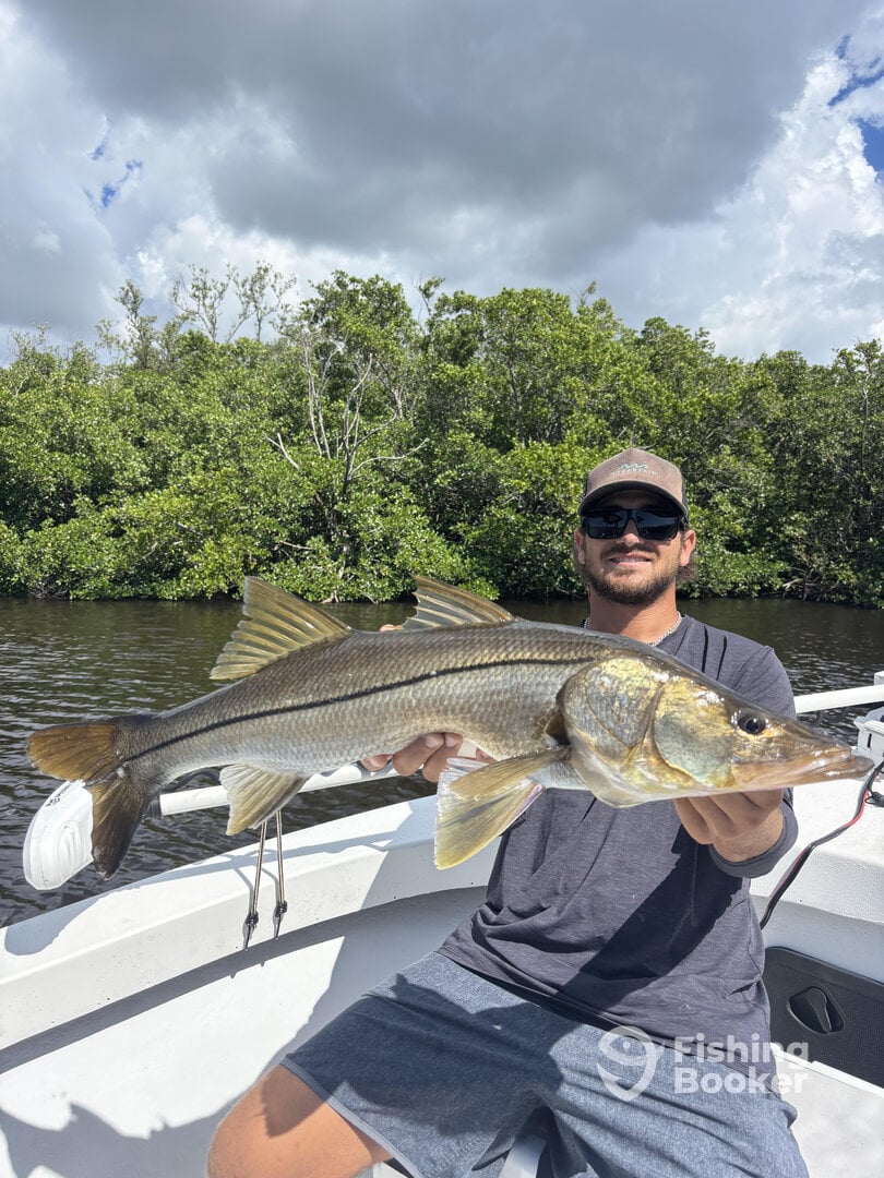 Naples Report Photo 0