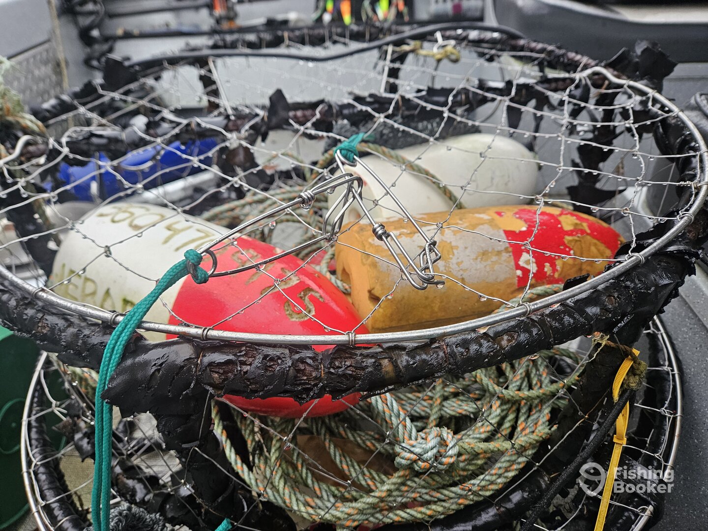 Astoria Report Photo 0