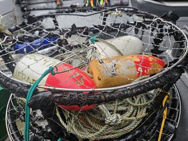 Crabbing is Crazy Good!