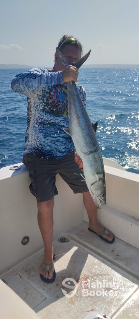 Cartagena de Indias Report Photo 0