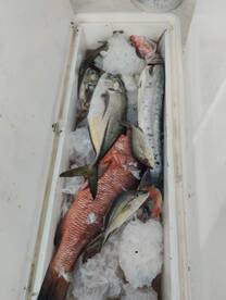 Cartagena de Indias Report Photo 1