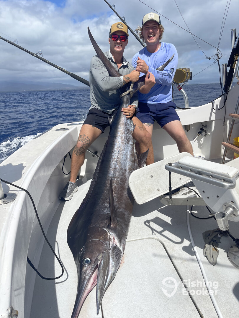 Honolulu Report Photo 0