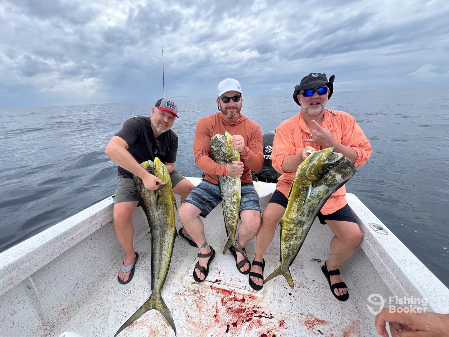 Puerto Jiménez Report Photo 0