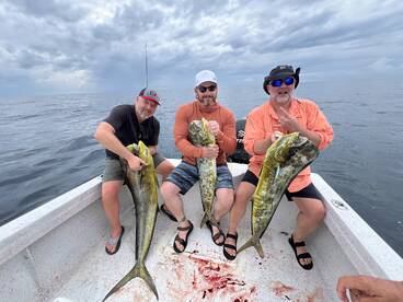 Golfo Dulce Report Photo 4