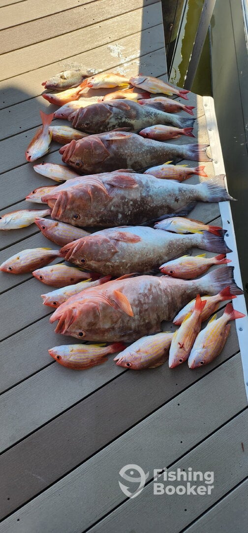 Pine Island Report Photo 0