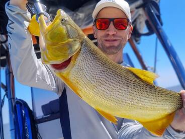 Buenos Aires Report Photo 2