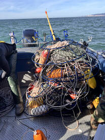 California Delta Report Photo 2