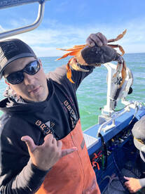 Northern California Report Photo 1