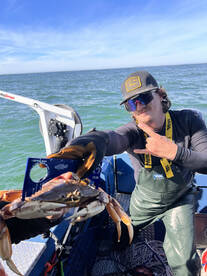 Easy limits of dungeness crab