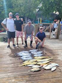 Blue Heaven, filling, dinner plates and 