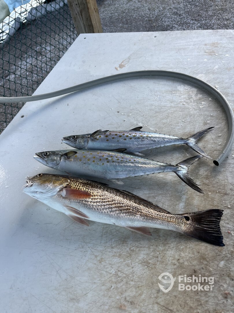 Tampa Report Photo 0