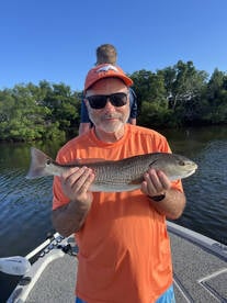 Tampa Report Photo 2