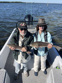 Tampa Report Photo 2