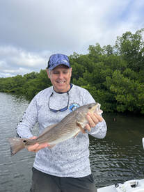 Tampa Report Photo 1