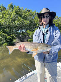 Hillsborough County Report Photo 4