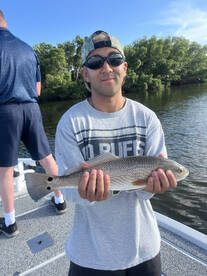 Tampa Report Photo 1