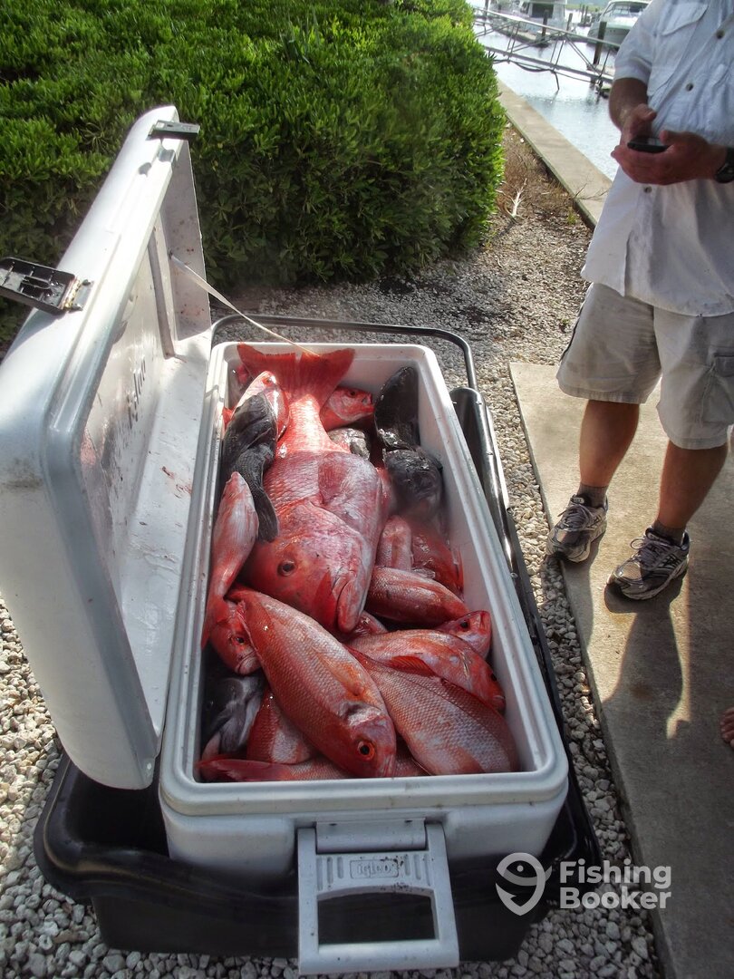 Fernandina Beach Report Photo 0