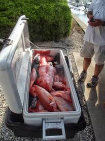 2026 Red Snapper Season