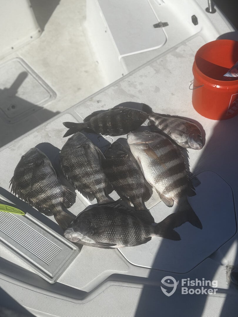 Punta Gorda Report Photo 0