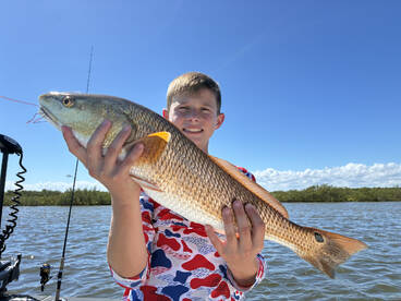 Edgewater Report Photo 1