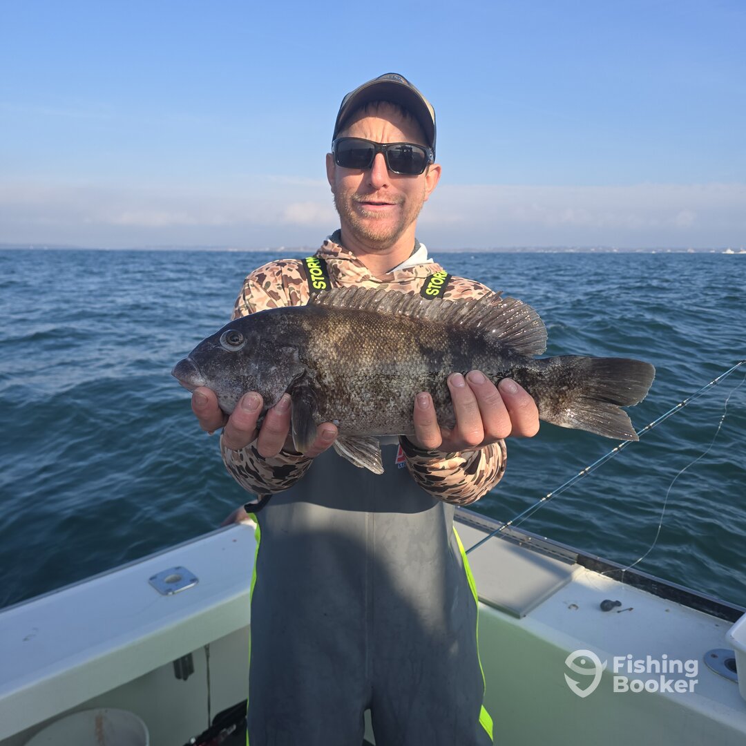 Narragansett Report Photo 0