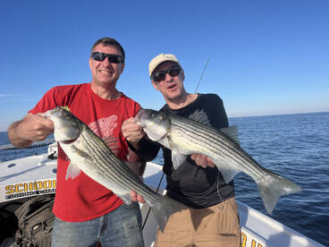 Fantastic bite thw past few weeks 