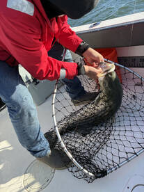 Jersey Shore Report Photo 2