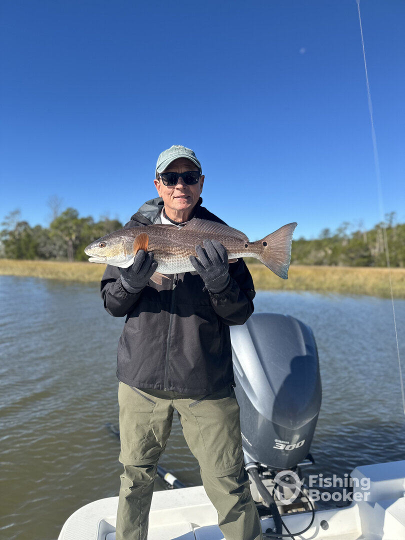 South Carolina Report Photo 0