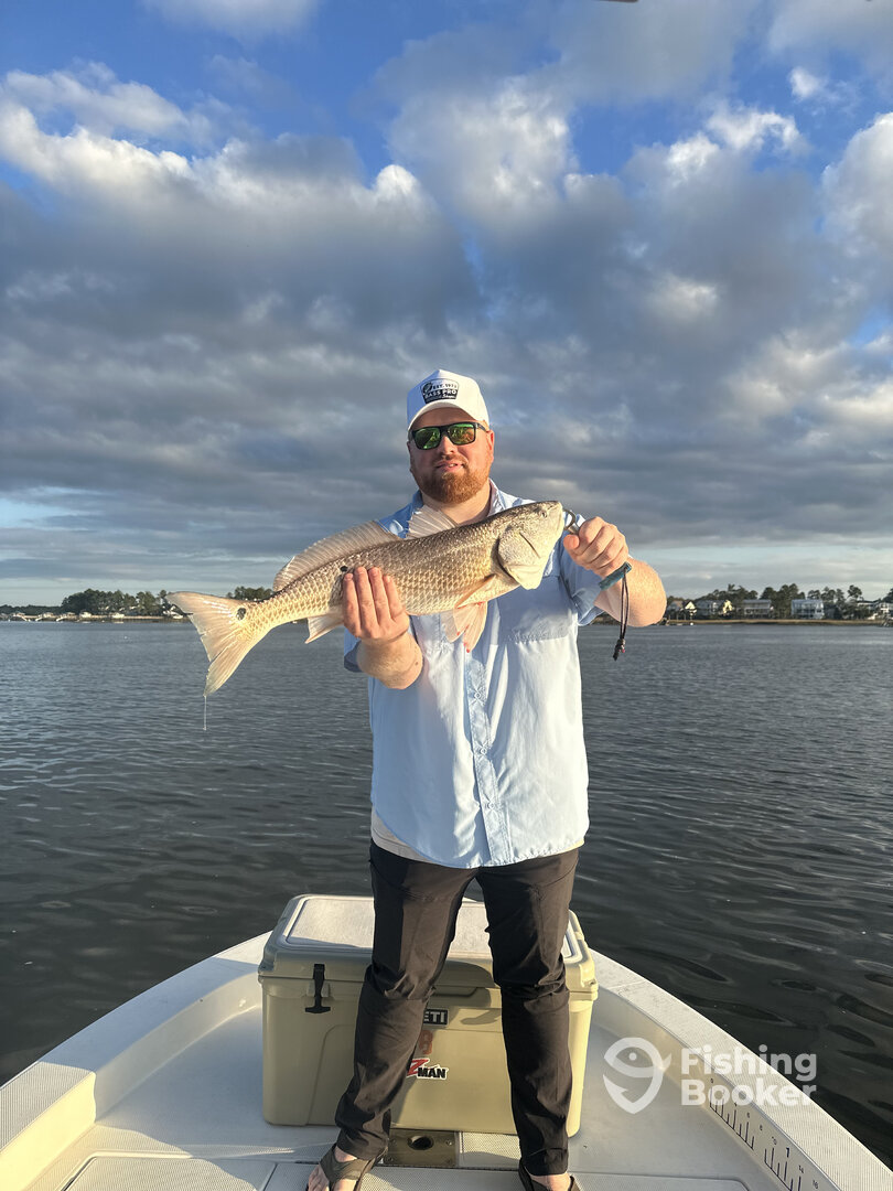 Mount Pleasant Report Photo 0