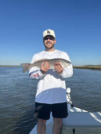 Mount Pleasant Report Photo 2