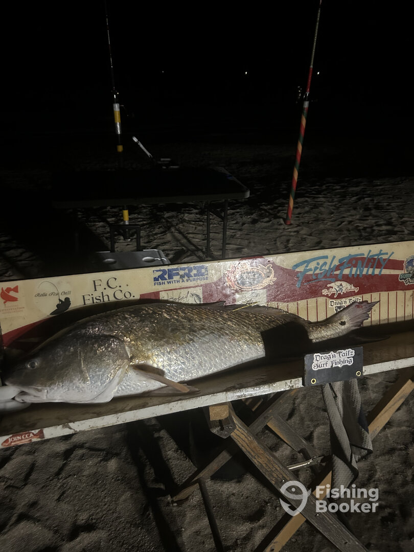 Creole Report Photo 0