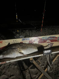 From morning to night! 