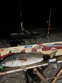 Creole Report Photo 1