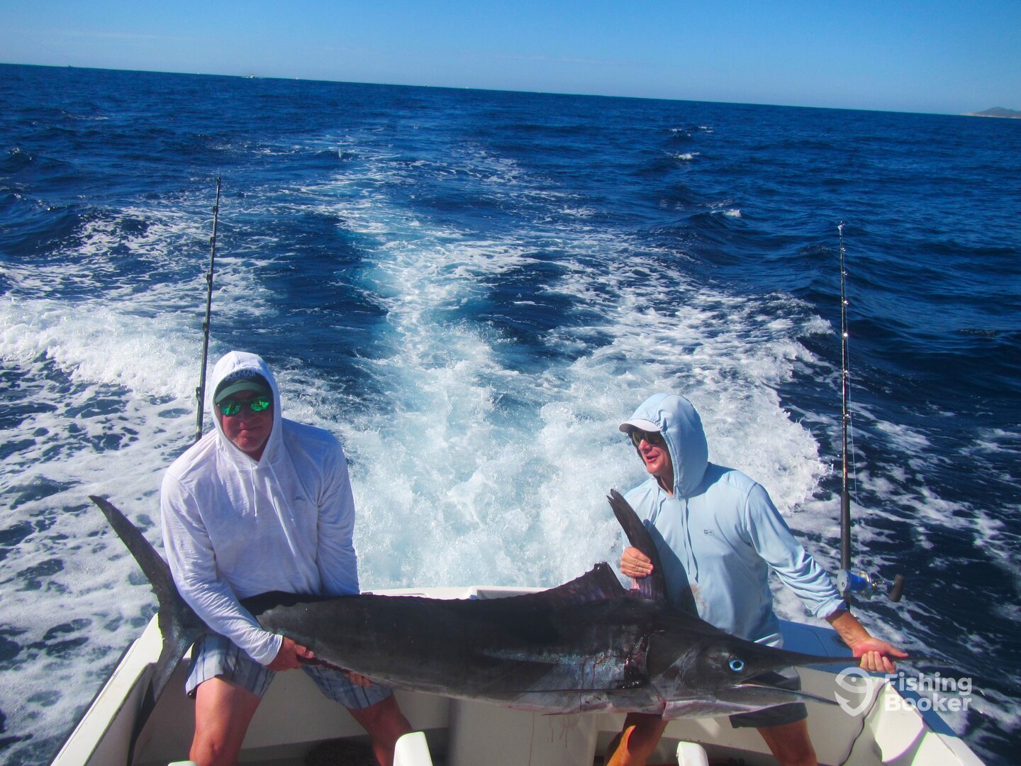 Cabo San Lucas Report Photo 0