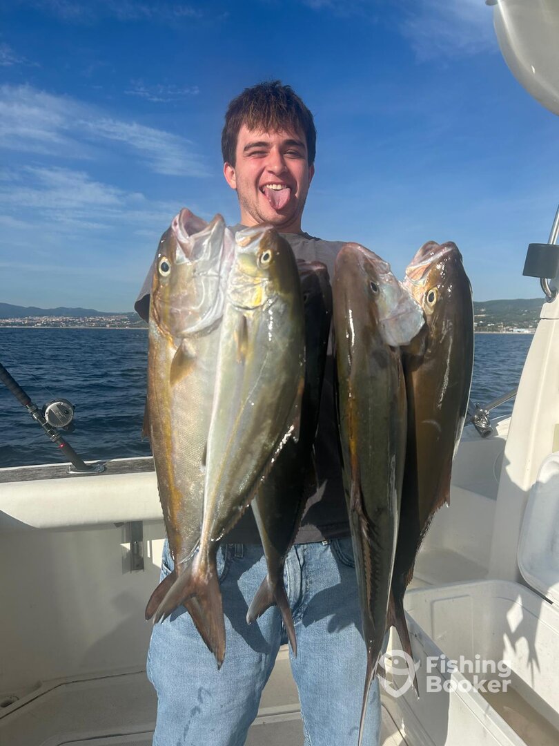 Catalonia Report Photo 0