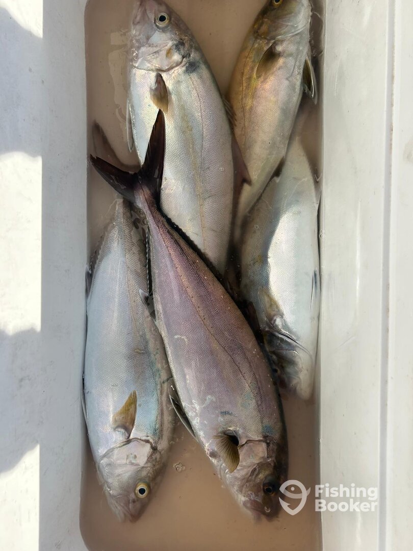 Spain Report Photo 0