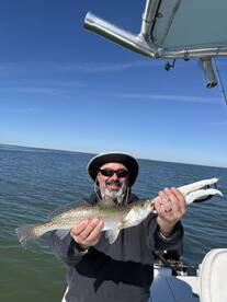 Holmes Beach Report Photo 1