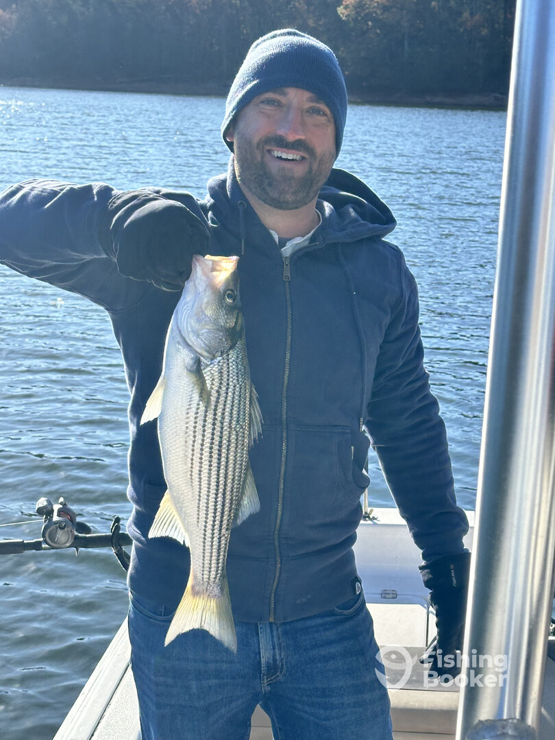 Gwinnett County Report Photo 0