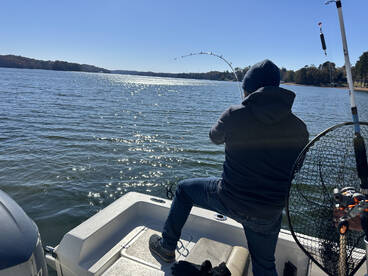 Gwinnett County Report Photo 3