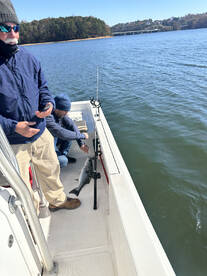 Gwinnett County Report Photo 2