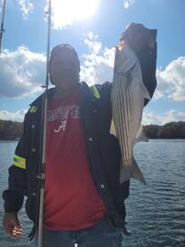 Gainesville Report Photo 1